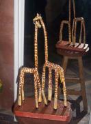 Girafas by Jose Gomes