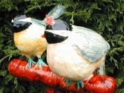 Birds - closeup by Ayala Levinger