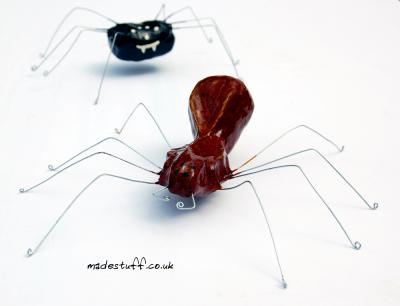 "Spiders" by Alasdair Martin