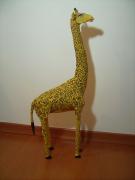 Giraffe by Jorge Eduardo
