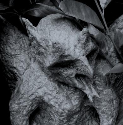 "Gargoyle in Black & White" by Garry Slack