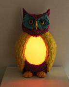 Colorful Owl with light on by Philip Bell