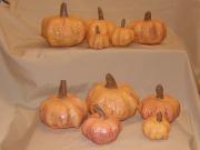 Pumpkins by Heidi Cox