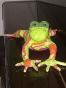 frog by Svetlana Akler