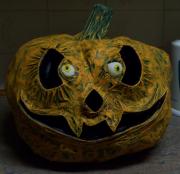 Pumpkin by Loretta Nel