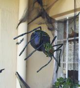 Spider by Loretta Nel
