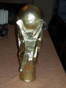 Updated Fifa Trophy by Loretta Nel