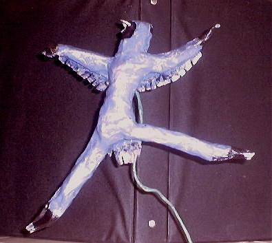 "Dancing Blue Jay" by Raul Amparan-Holguin