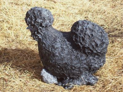 "Black Silkie hen and chicks" by Tania Kirstein