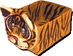 "tiger box" by Sharon Winner