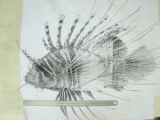 Lionfish under construction 1 by Lúcio Filho