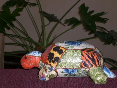 "Galapagos tortoise" by Anat Polivoda