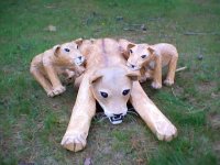 Call Of the Wild (Mother Lion with her cubs) by Jennifer Winters