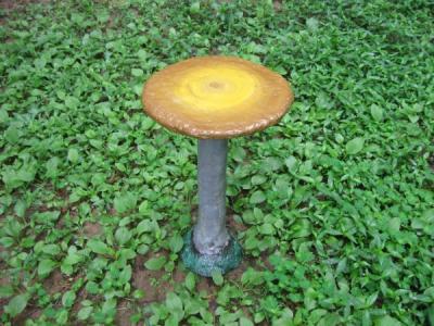 "Golden Fungus Table" by Evelyn Nearhood