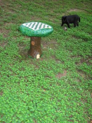 "Chess/Checker Table" by Evelyn Nearhood