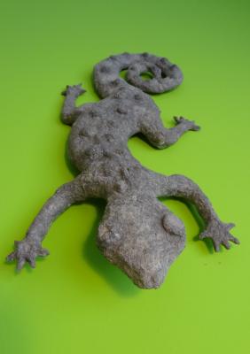 "Gecko" by Aneta Ribarska