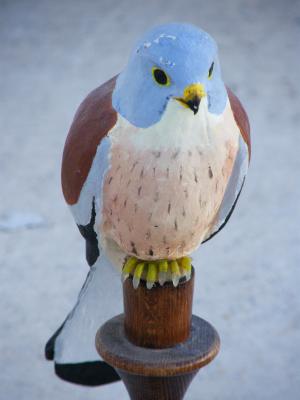 "Bird - Lesser kestrel" by Roberto Lascaro