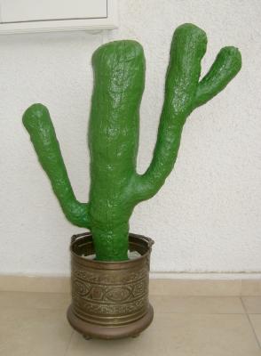 "Big Mexican cactus" by Yael Levy