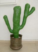 Big Mexican cactus by Yael Levy