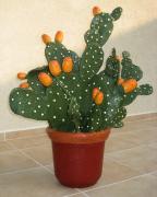 big cactus by Yael Levy