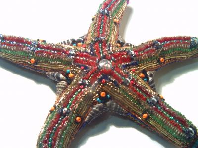 "starfish 2" by Alexander Shved