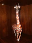 giraffe by Prasun Roy