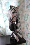 Zebra.... by Prasun Roy