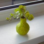 Little vase by Maia Magi