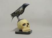 El cuervo de Poe by Evelio Moreno
