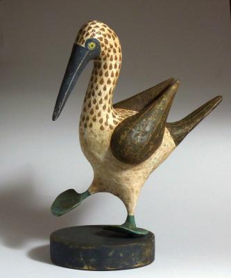 "Blue-Footed Boobie" by Susan Ryan