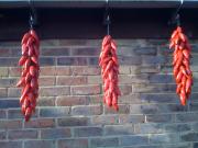 chilli ristras (another view) by Richard Erbe