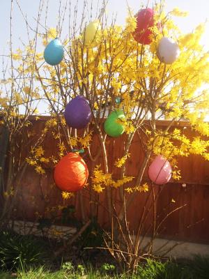 "Egg tree" by Siobhan Gallgher