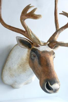 "Caribou" by Melanie Bourlon