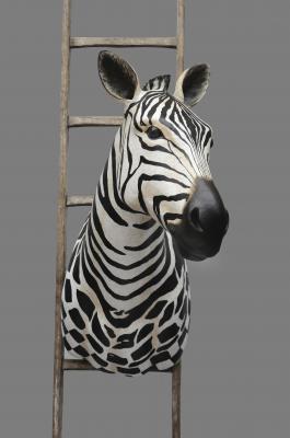 "Zebre" by Melanie Bourlon