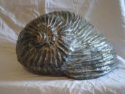 Shell (Escargot) by Renia Gavriel-Baron