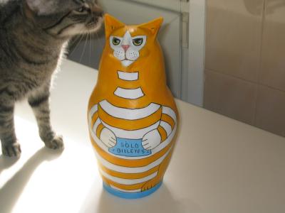 "orange cat 1" by Lola Quiros