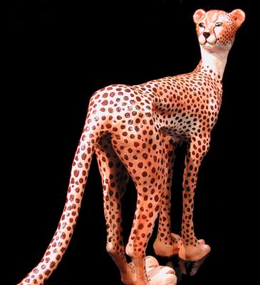 "Cheetah Review" by Juan Antonio Ramos