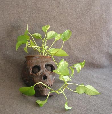 "skull pot" by Rok Jursic