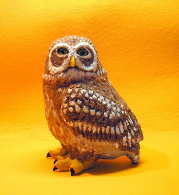 "Little Owl" by Rok Jursic
