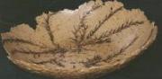 Rosemary Bowl by Karen Farr Lee