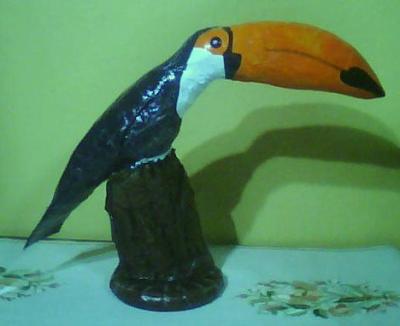 "Toucan" by Selim Turkoglu