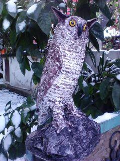 "Owl" by Selim Turkoglu