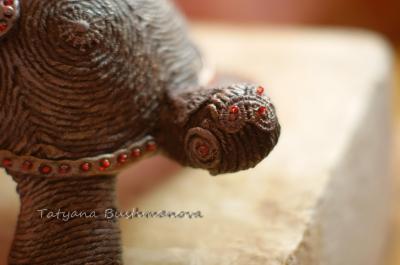"turtle" by Tatyana Bushmanova