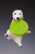 Frisbee Dog by Rebecca Deerwater