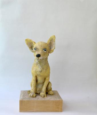 "CHIHUAHUA" by Claudio Barake