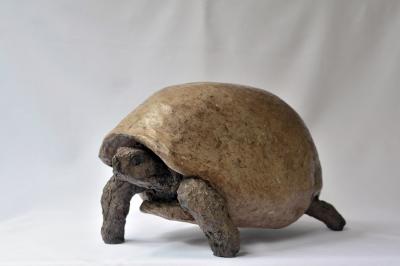 "TORTOISE" by Claudio Barake