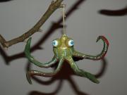 Octopus by Adriana Tanfara