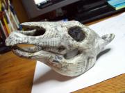 Horse Skull by Rick Pelletier