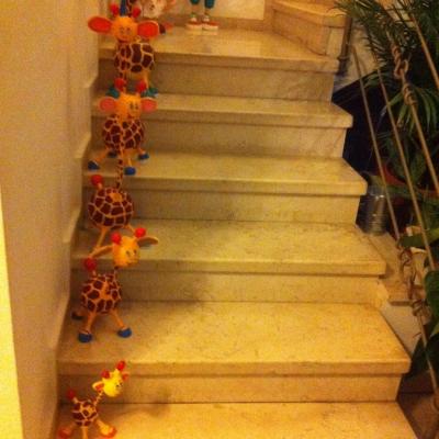 "giraffe stairs parade" by Yehuda Kariv