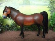 Exmoor pony by Tania Wood